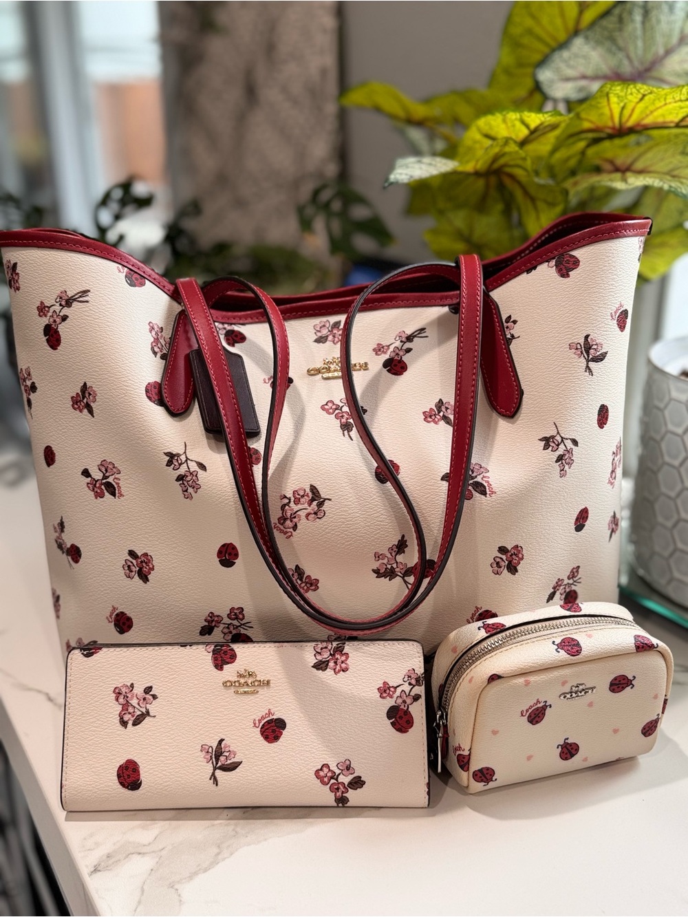Coach Ladybug Reversible Tote 3 Piece Set 🐞